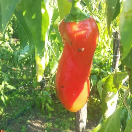 & Parque de Campismo