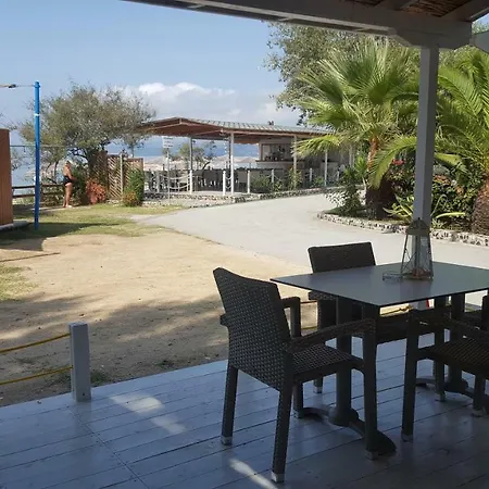 & * 欧拉努波利斯