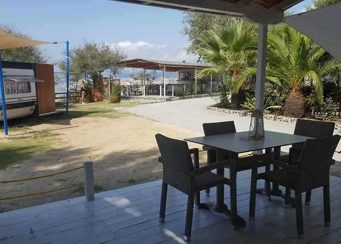 & * 欧拉努波利斯