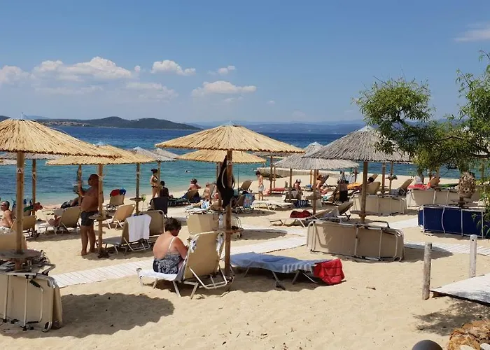 & * 欧拉努波利斯