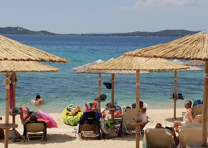 & * 欧拉努波利斯