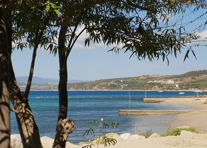 & 欧拉努波利斯