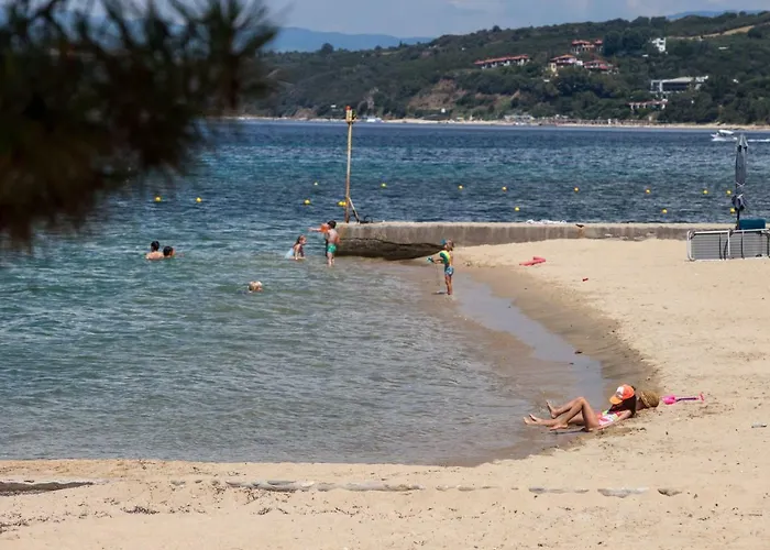 & * 欧拉努波利斯